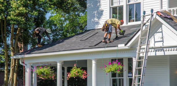Roof Gutter Cleaning in Berryville, AR