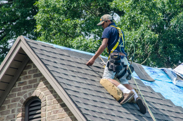 Best Roof Leak Repair  in Berryville, AR